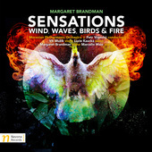 Album artwork for Sensations: Wind, Waves, Birds & Fire