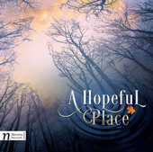Album artwork for Dan Redfeld: A Hopeful Place
