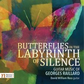 Album artwork for Butterflies in the Labyrinth of Silence