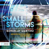 Album artwork for Small Storms