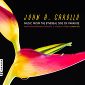 Album artwork for John A. Carollo: Music from the Ethereal Side of P