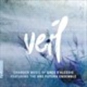 Album artwork for Greg D'Alessio: Veil