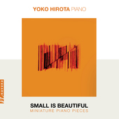 Album artwork for Hirota: Small Is Beautiful