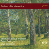 Album artwork for Brahms: Der Klaviertrios