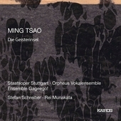 Album artwork for Ming Tsao: Die Geisterinsel 