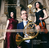 Album artwork for Brahms: Horn Trio & Violin Sonatas
