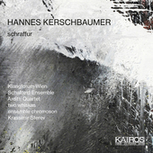 Album artwork for Hannes Kerschbaumer: schraffur