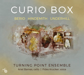 Album artwork for Curio Box
