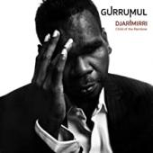 Album artwork for Gurumul : Djarimirri (Child of the Rainbow)